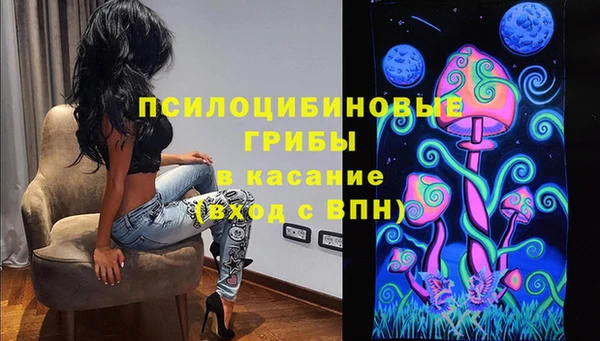 МДПВ Алексин