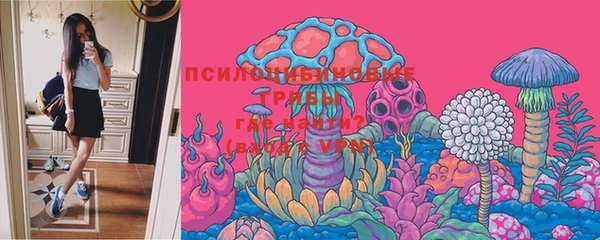 МДПВ Алексин